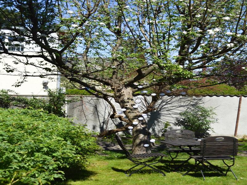 Pension Elisabeth - Rooms & Apartments image
