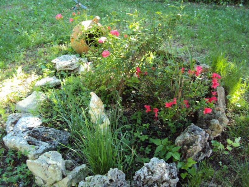 B&b La Douloire image