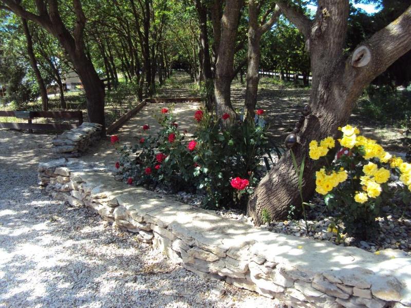 B&b La Douloire image