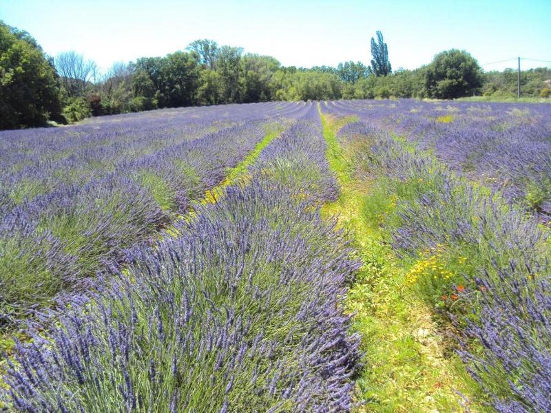 B&b La Douloire image