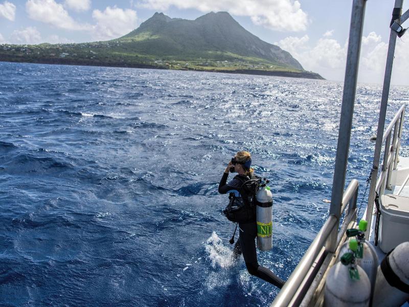 Golden Rock Dive And Nature Resort image