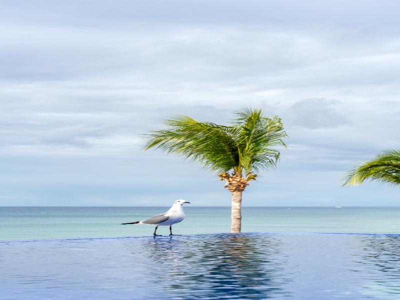 Hotel Puerto Libre image