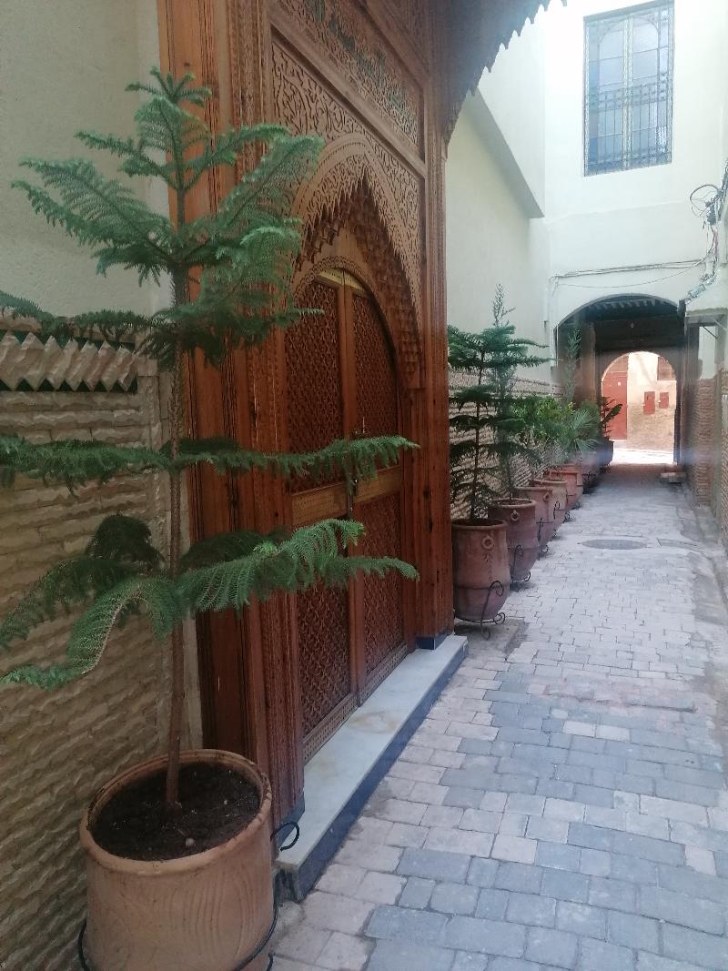 Riad Sayeda Al Hora image