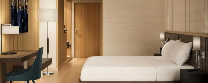 Ac Hotel By Marriott Saint-julien-en-genevois image
