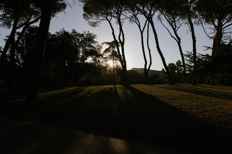 Palazzo Belvedere image