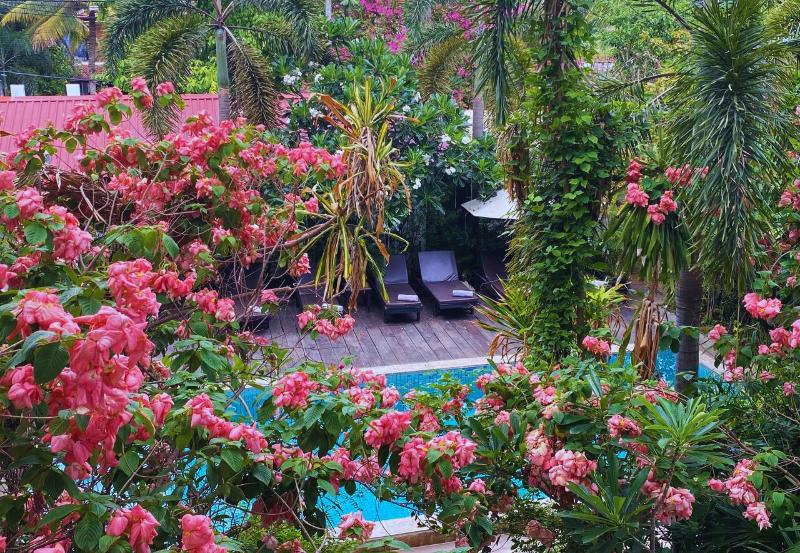 Ladear Angkor Hotel image