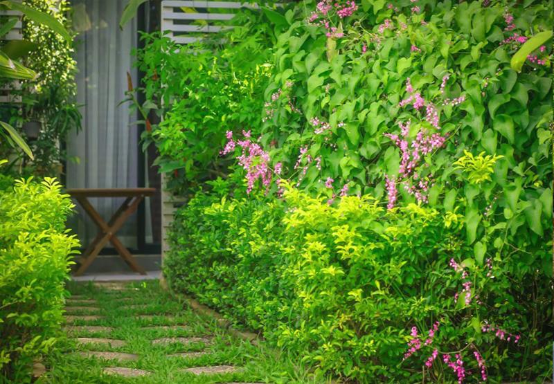 Ladear Angkor Hotel image