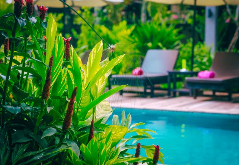 Ladear Angkor Hotel image