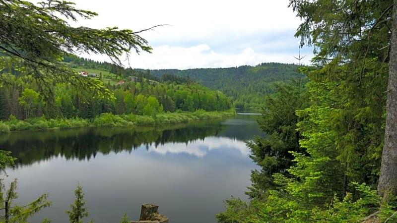Geovita Wisla image