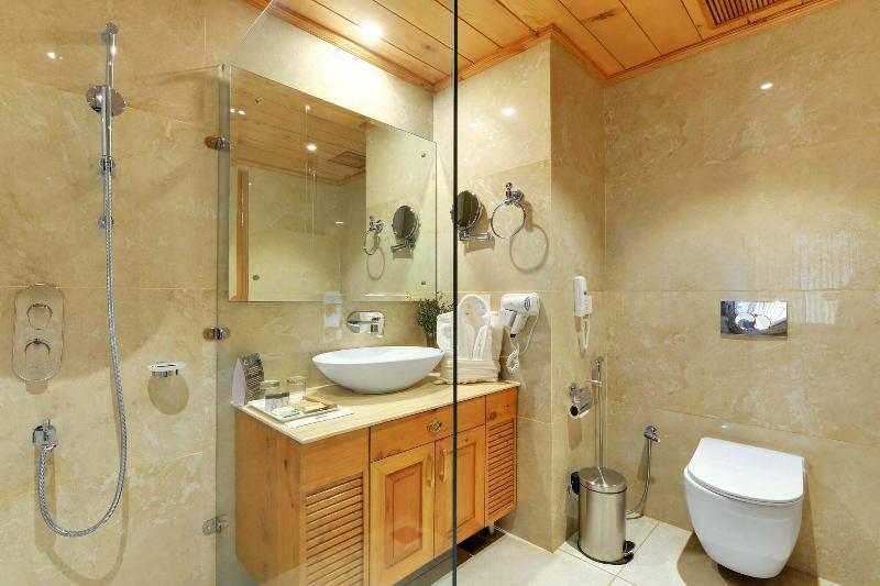 Tiaraa Hotels & Resorts - Manali image