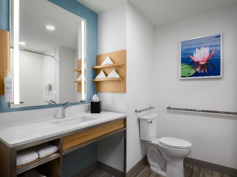 Hilton Garden Inn Orlando I-4 Millenia Blvd Mall image