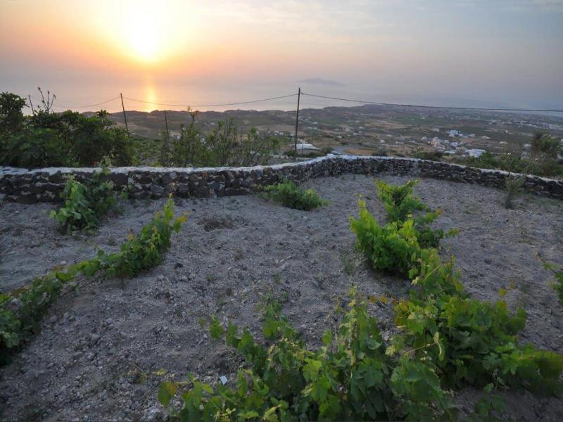 Phaos Santorini Suites image