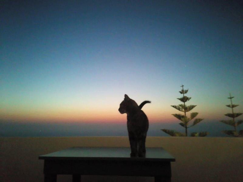 Phaos Santorini Suites image