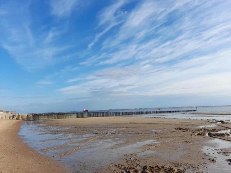 Wonderfully Quiet Situated In Polder Near Beach image