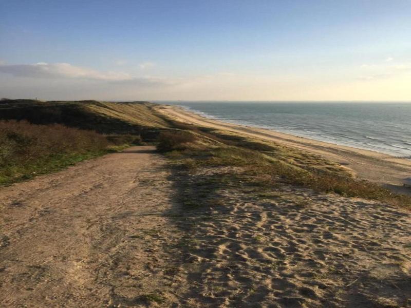 Wonderfully Quiet Situated In Polder Near Beach image