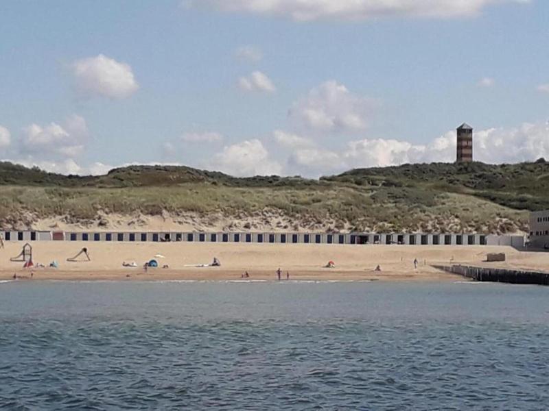 Wonderfully Quiet Situated In Polder Near Beach image
