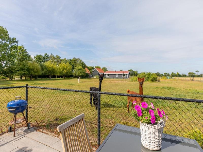 Wonderfully Quiet Situated In Polder Near Beach image