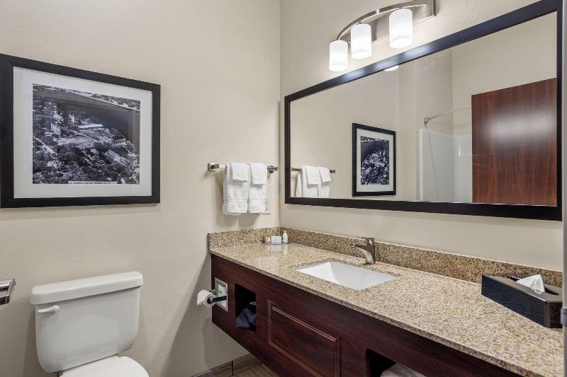 Cobblestone Hotel & Suites - De Pere image