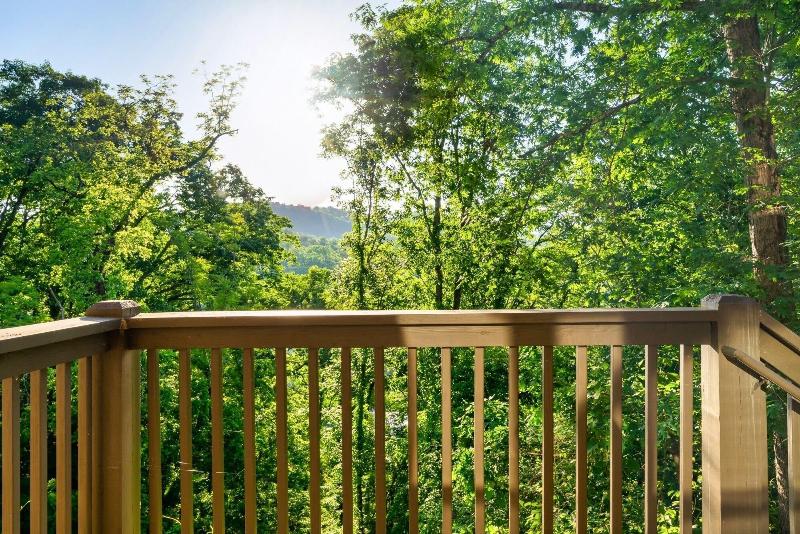 Hummingbird Hill Vista- Pool Hottub View