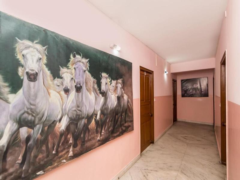 Oyo 10890 Malik Guest House