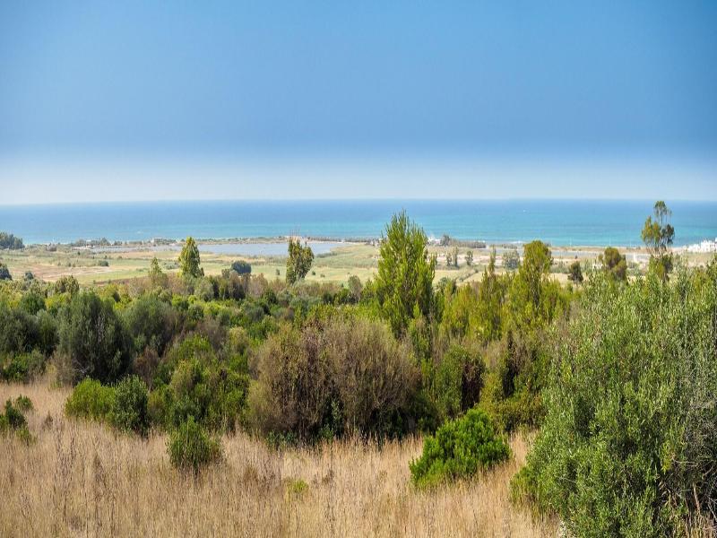 Masseria Baroni Di Montesardo image
