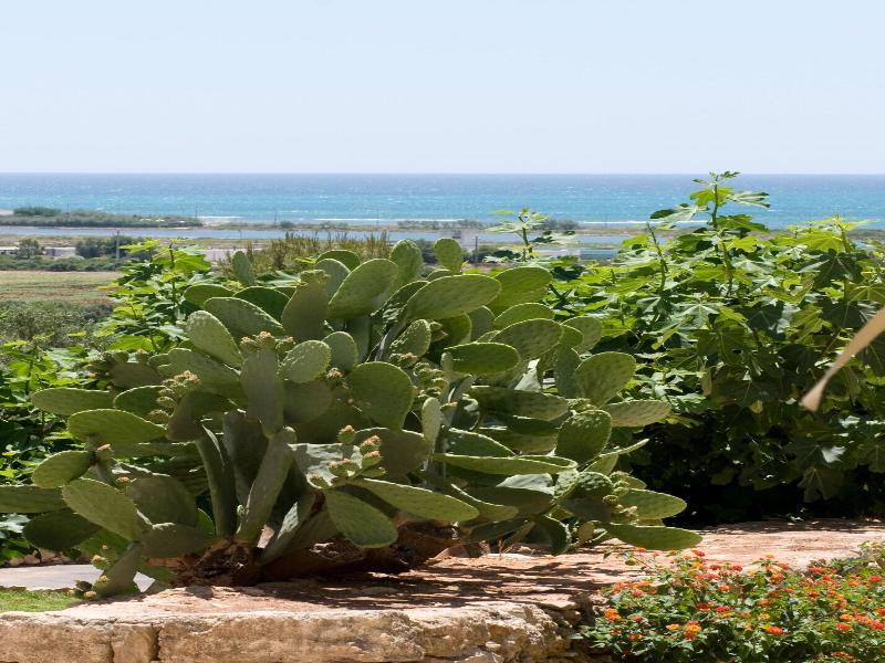 Masseria Baroni Di Montesardo image