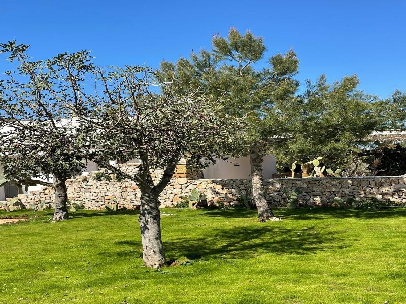 Masseria Baroni Di Montesardo image