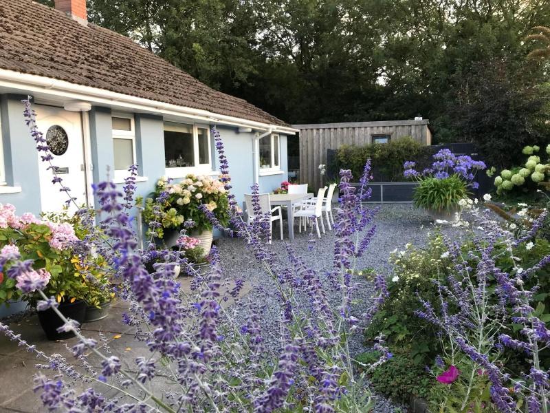 Gower View Luxury Bed Breakfast image