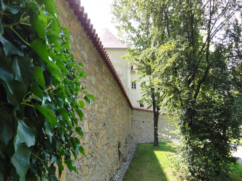 Hotel Fronfeste image