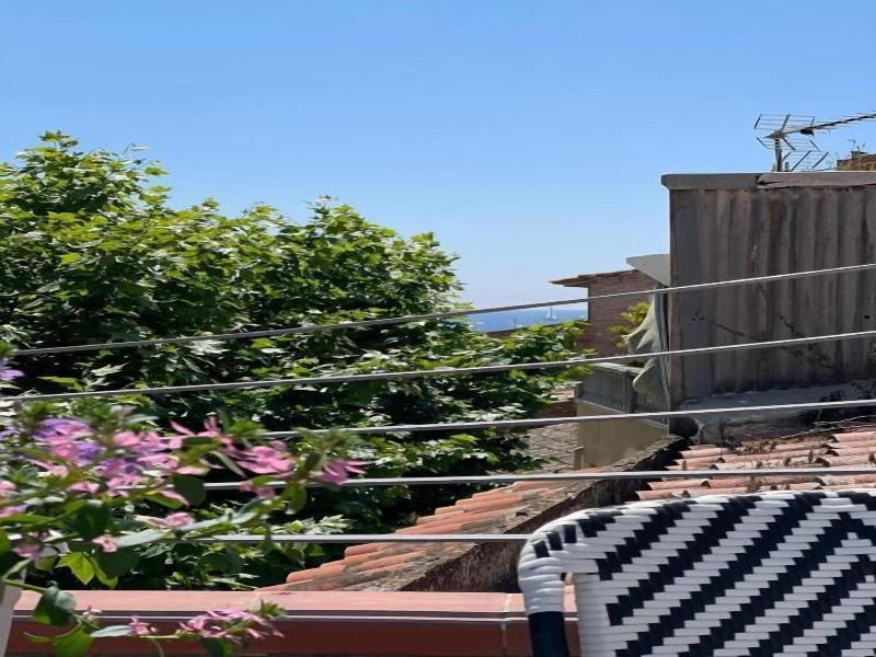 Hotel Calendula image
