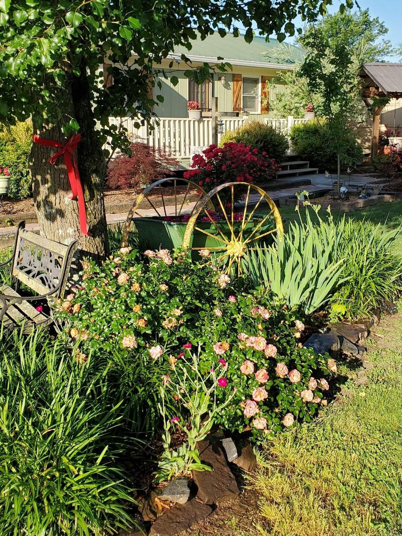 Country Aire Bed Breakfast image