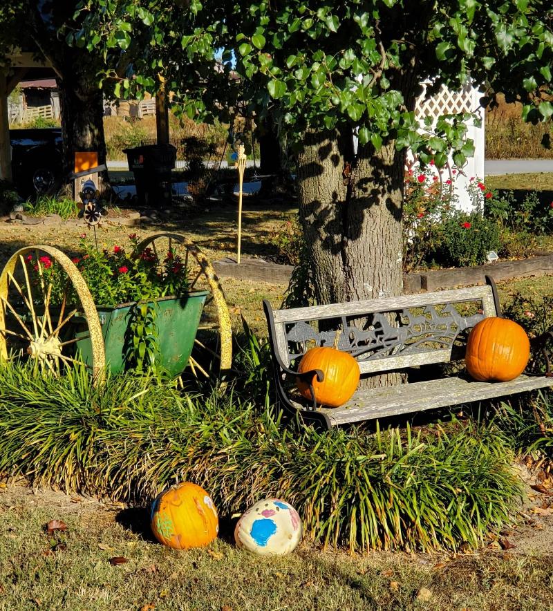 Country Aire Bed Breakfast image