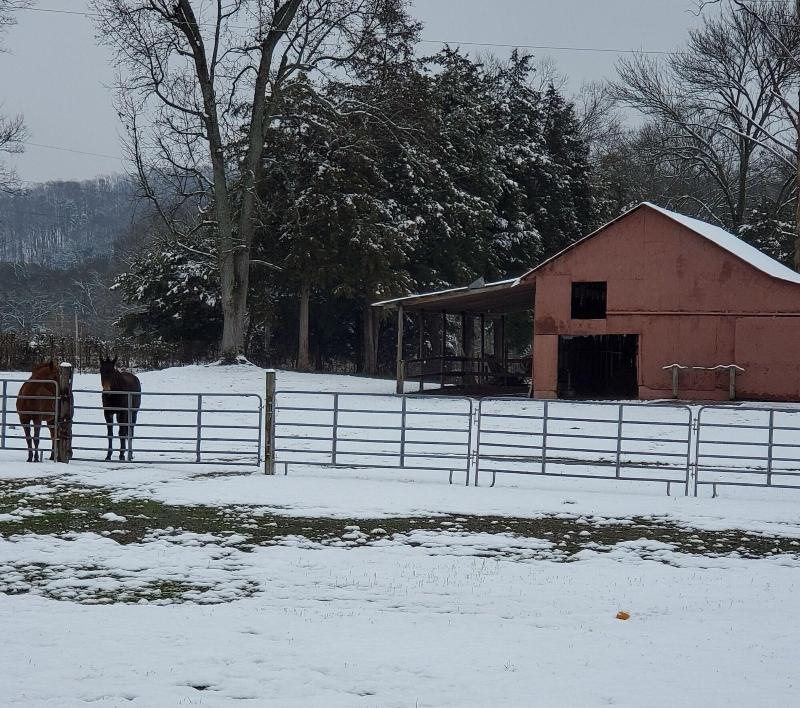 Country Aire Bed Breakfast image