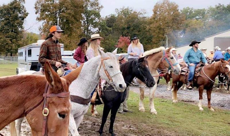 Country Aire Bed Breakfast image