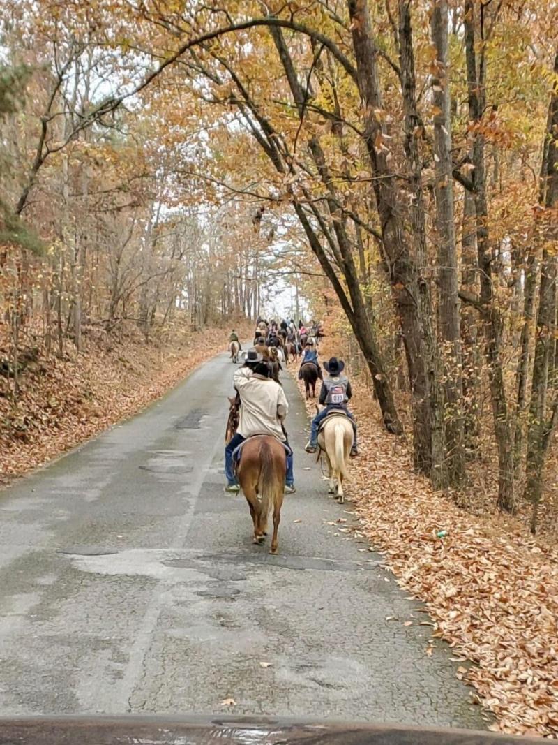 Country Aire Bed Breakfast image
