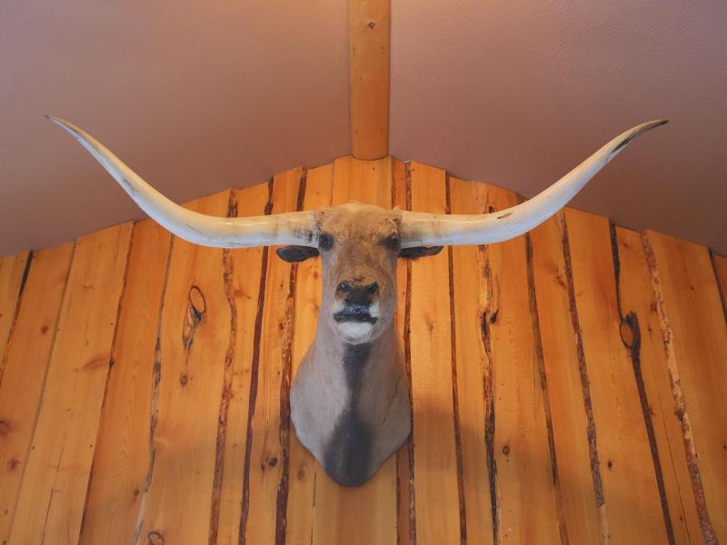 The Longhorn Ranch Lodge And Rv Resort