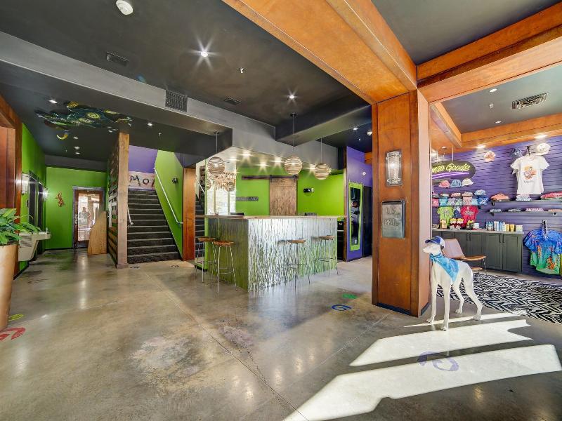 The Gonzo Inn