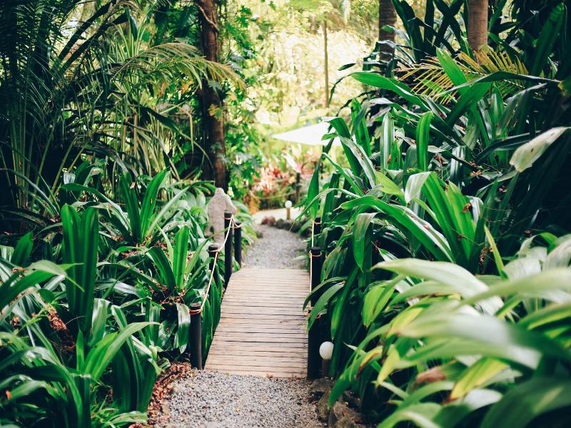 Ylang Ylang Beach Resort image