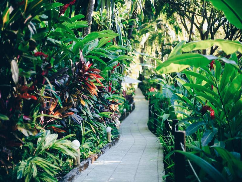 Ylang Ylang Beach Resort image