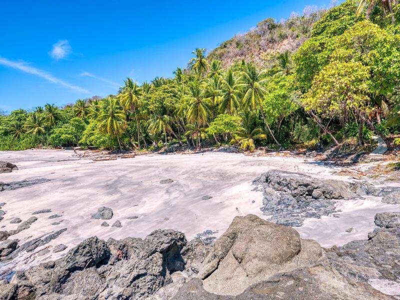 Ylang Ylang Beach Resort image
