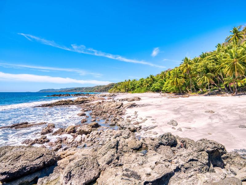 Ylang Ylang Beach Resort image