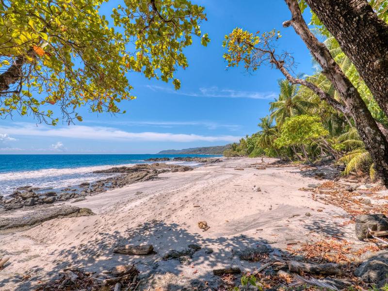 Ylang Ylang Beach Resort image