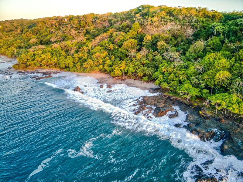Ylang Ylang Beach Resort image