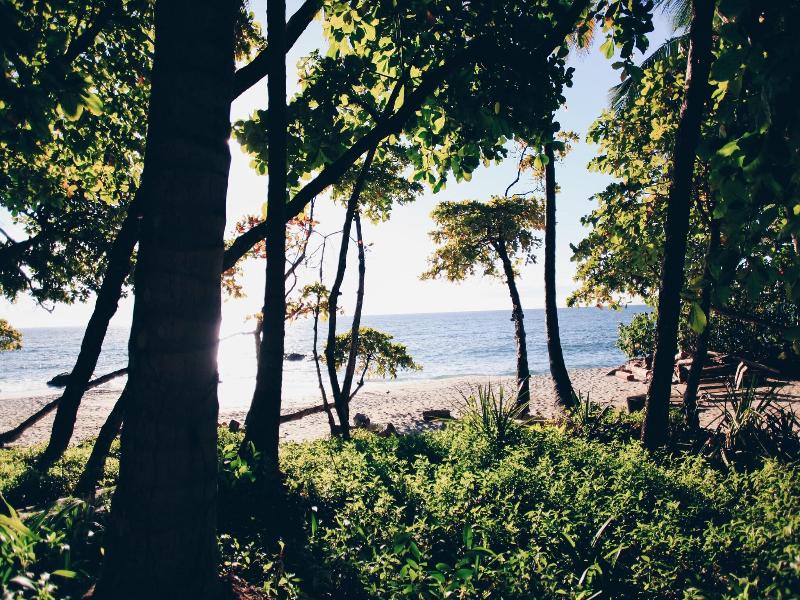 Ylang Ylang Beach Resort image