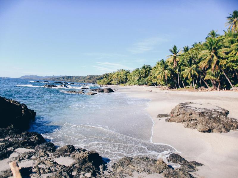 Ylang Ylang Beach Resort image