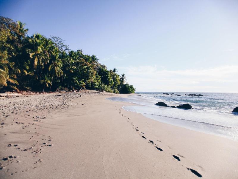 Ylang Ylang Beach Resort image