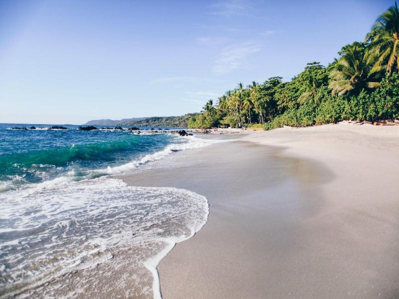 Ylang Ylang Beach Resort image