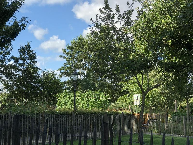 Hotel Hof Van S Gravenmoer image