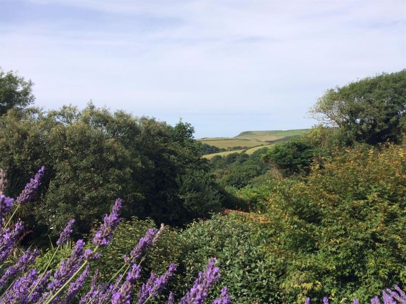 Boscastle House image