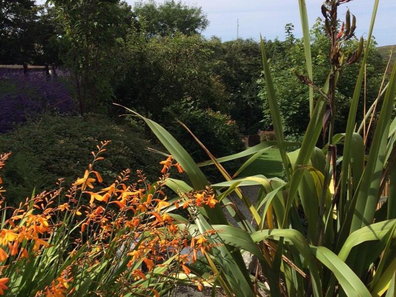 Boscastle House image